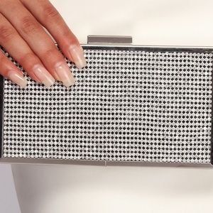 BCBGMAXAZRIA Sonia Crystal Mesh Satin Frame Clutch
